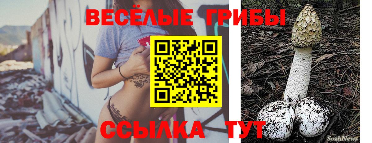 Галлюциногенные грибы GOLDEN TEACHER Алексин