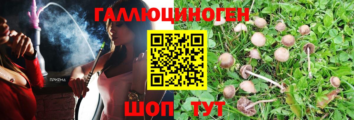 Алексин  Галлюциногенные грибы прущие грибы  Вход с VPN 